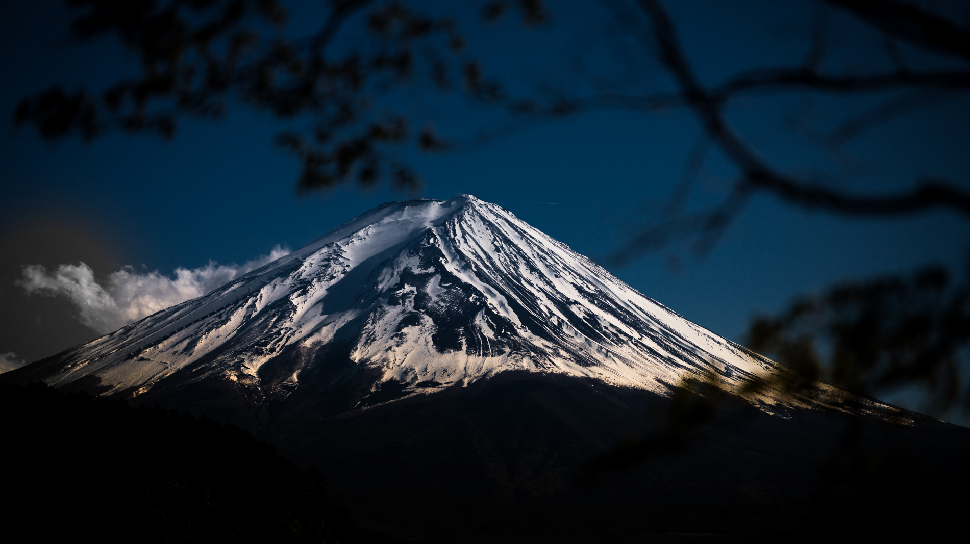 Winston Polarized Sunglasses Presents: Framed Moments - Japan