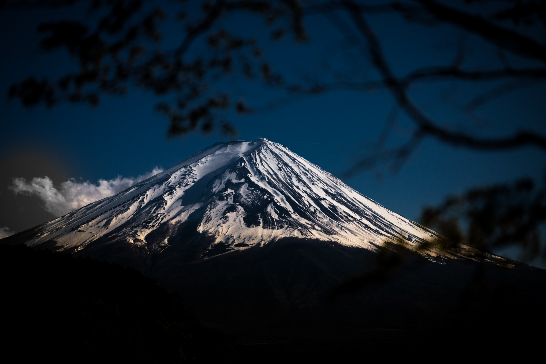 Winston Polarized Sunglasses Presents: Framed Moments - Japan